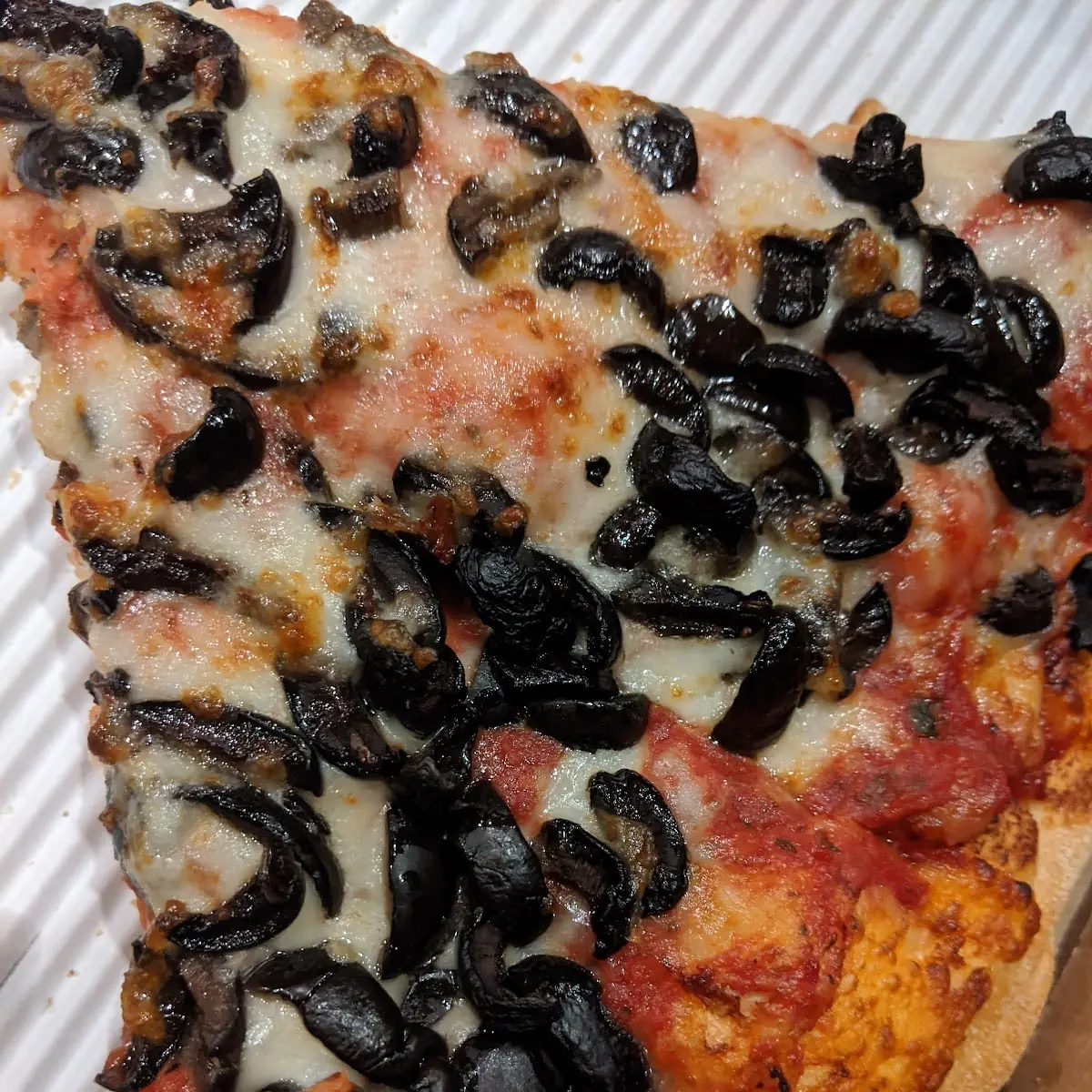 Olive Pizza