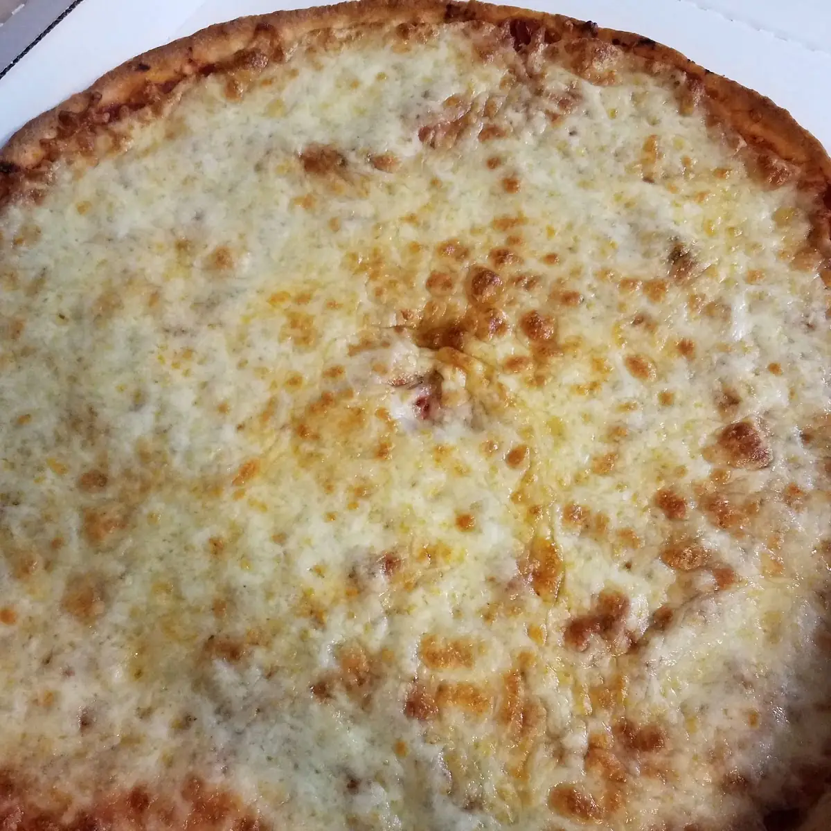 Cheese Pizza
