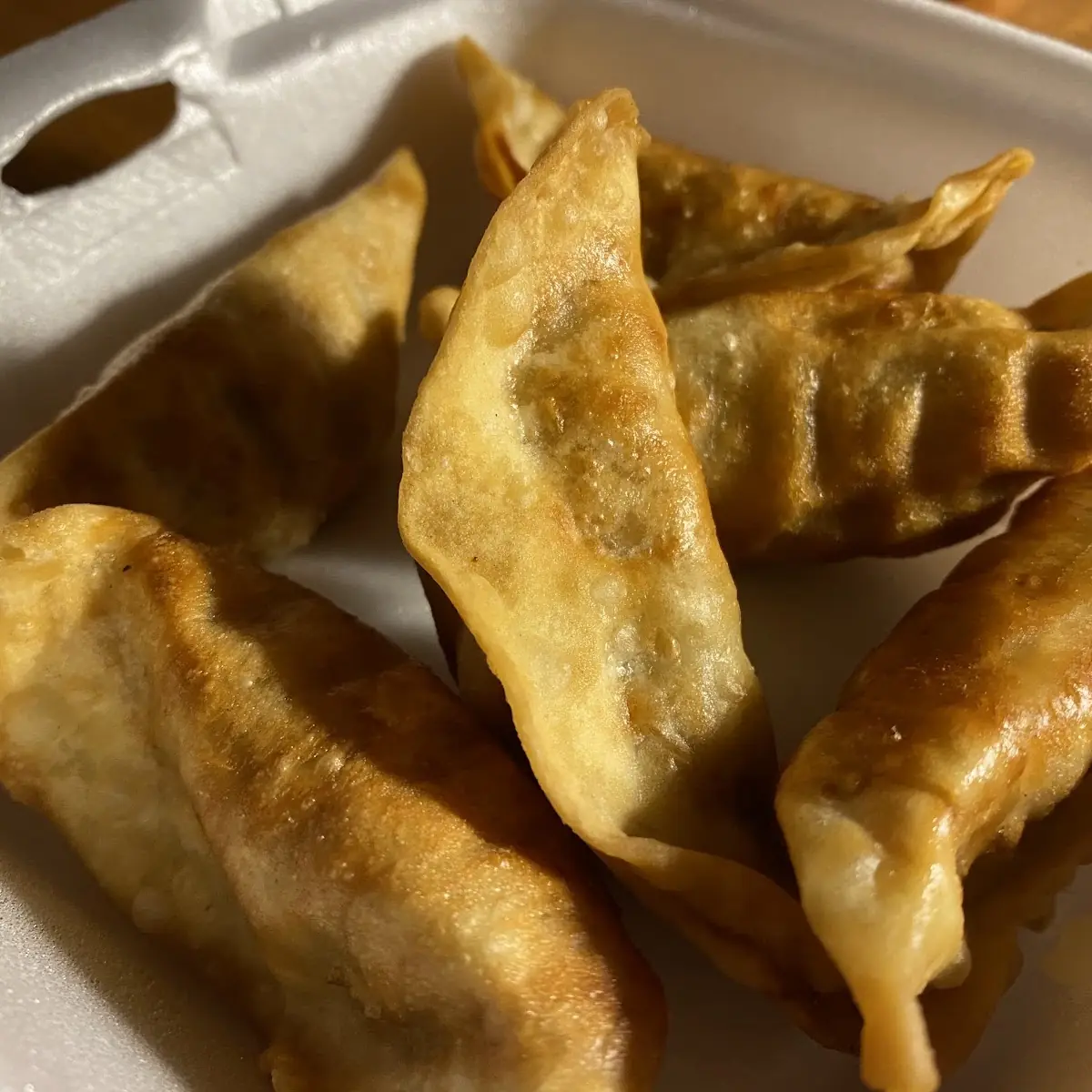 Fried Pork Dumplings