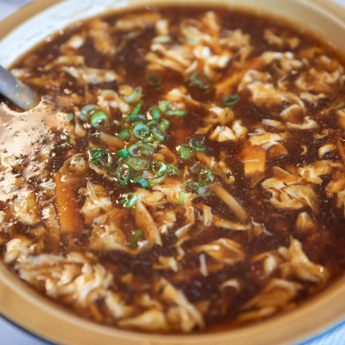 Hot and Sour Soup