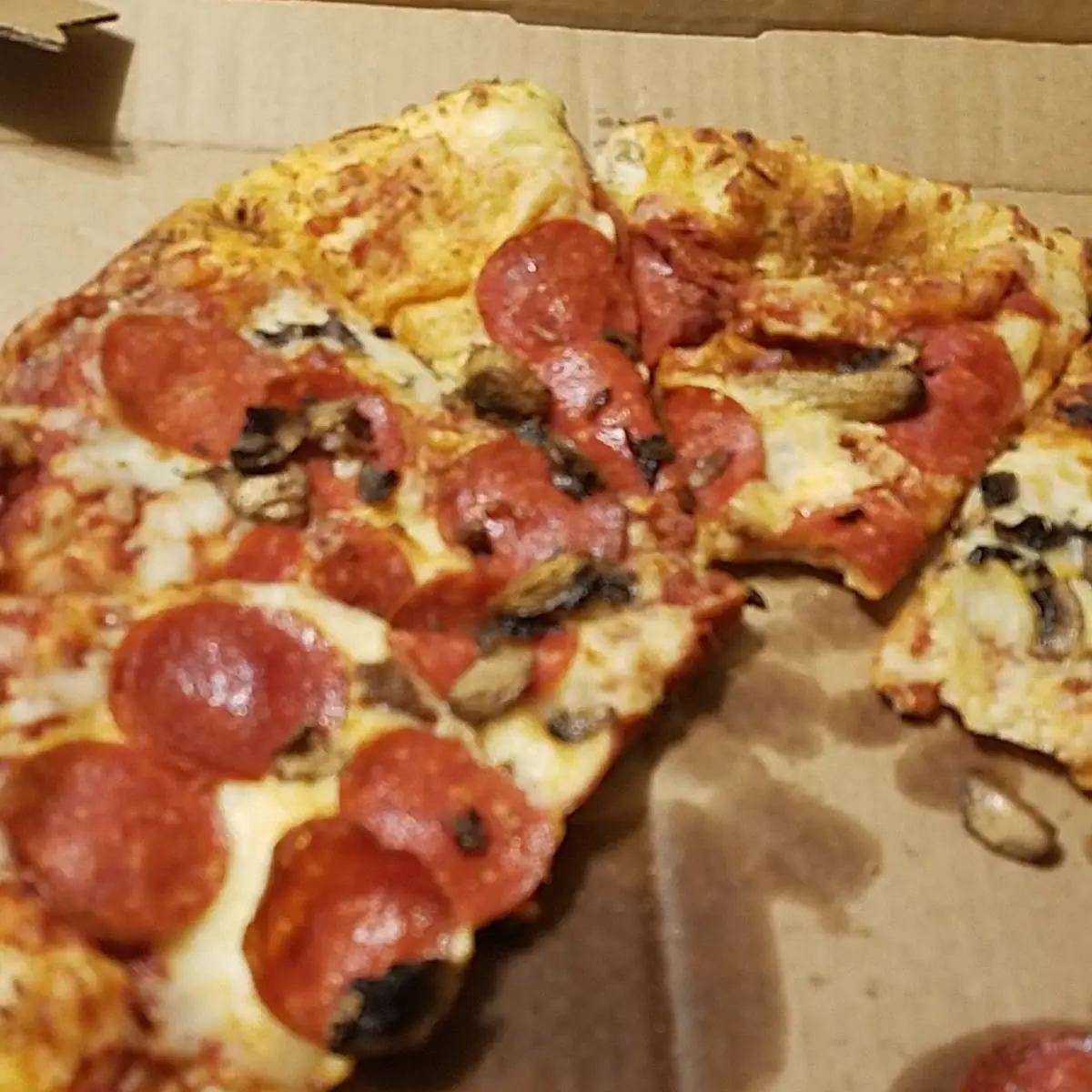 Gross Pepperoni Pizza