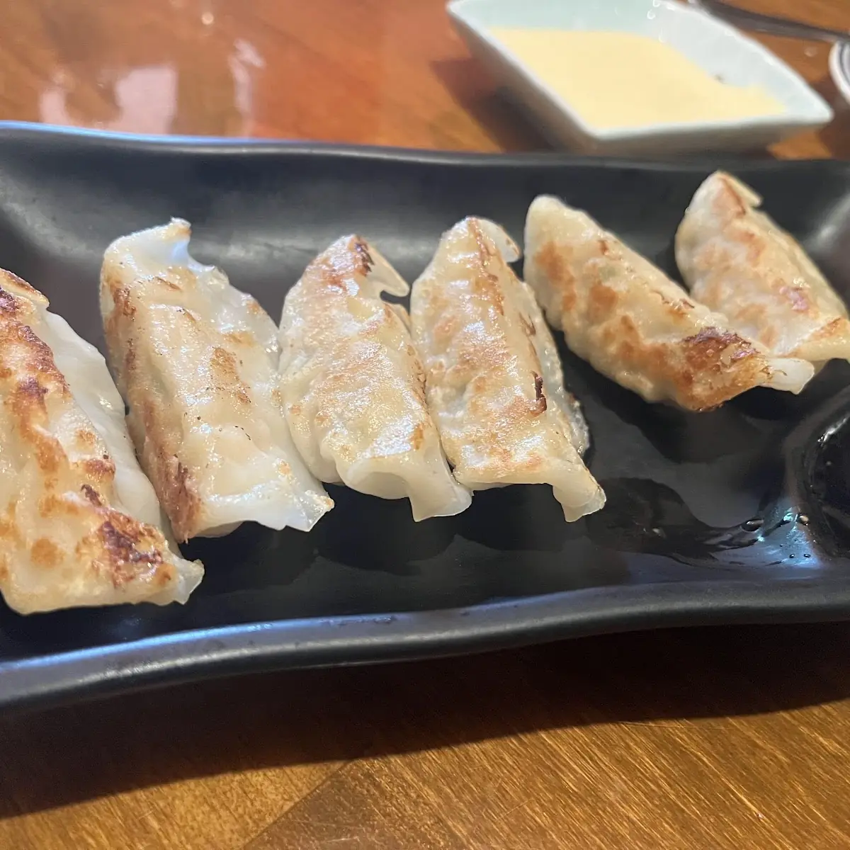 Pan Fried Pork Dumplings
