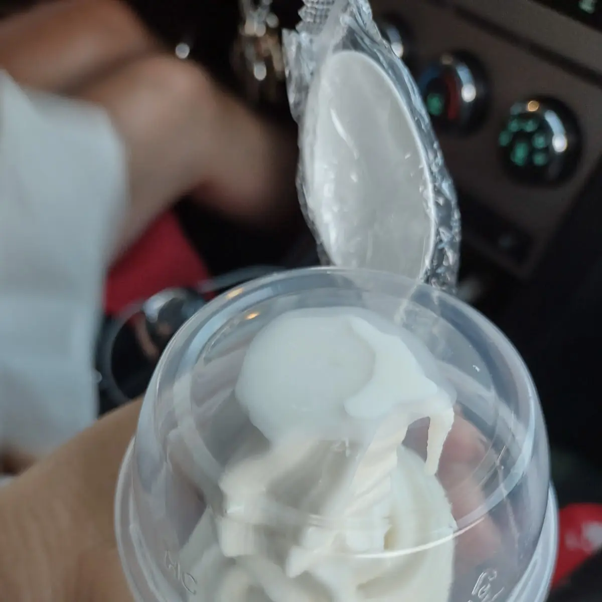 Vanilla Ice Cream