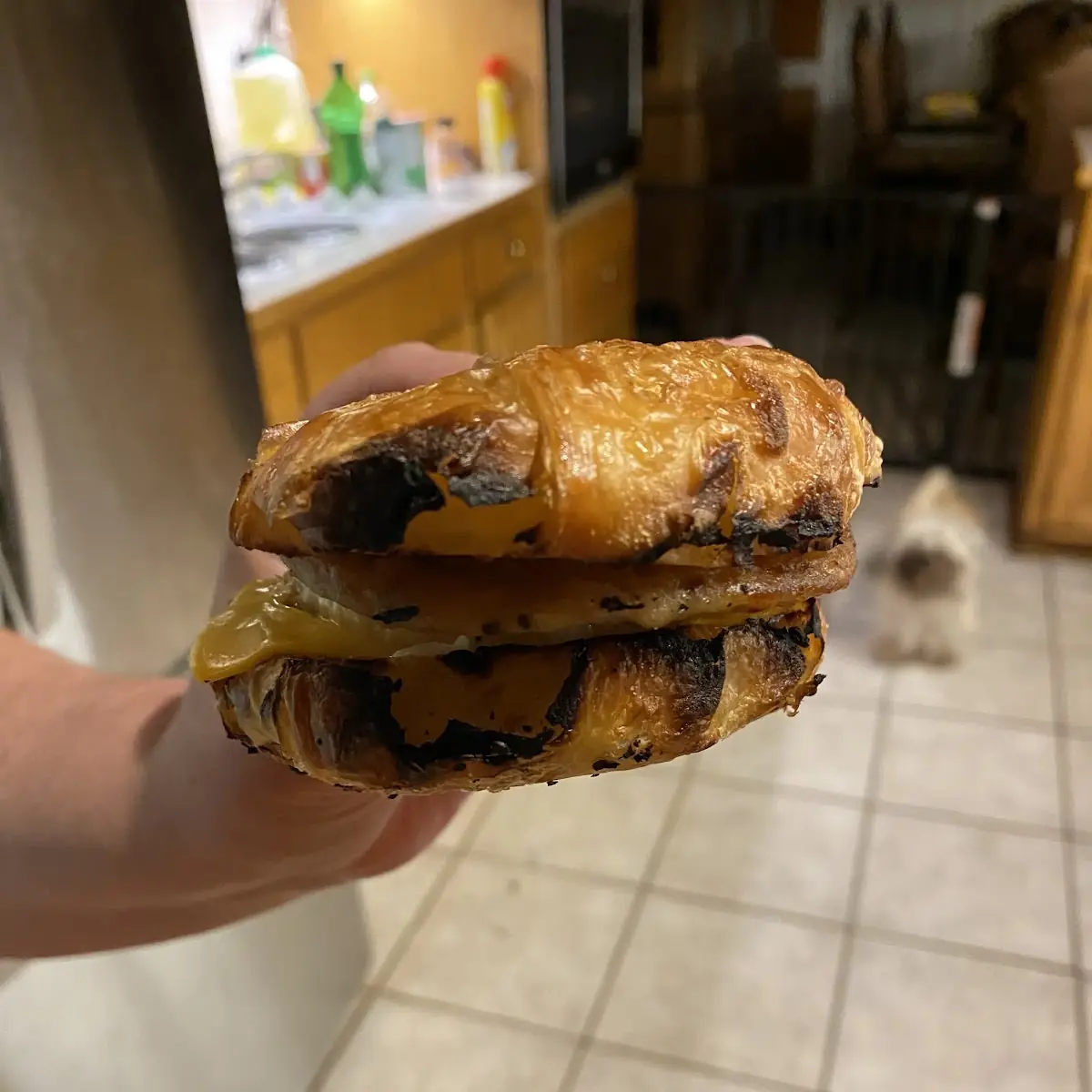 Cinnamon Raisin Bagel
