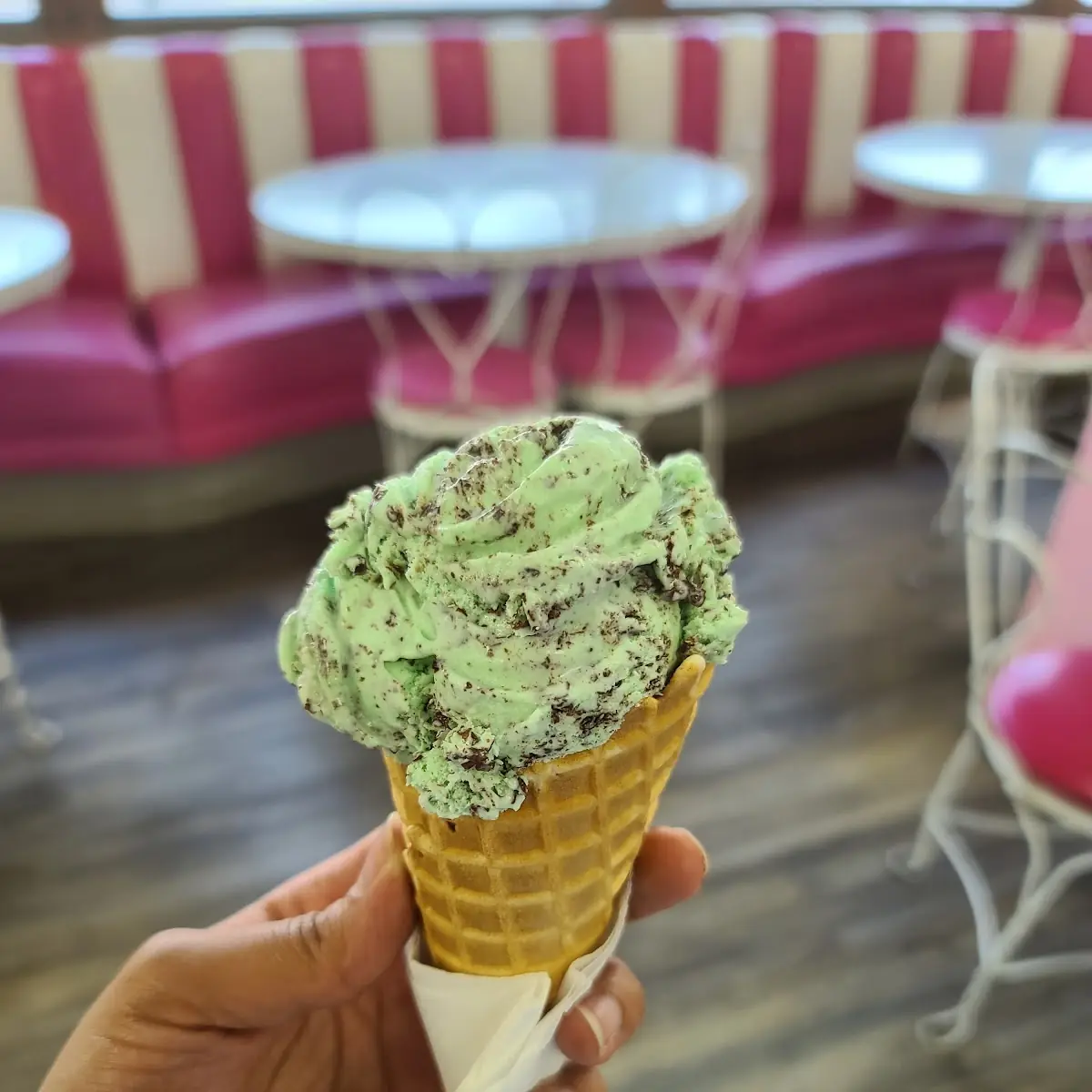 Mint Chocolate Chip Cookie