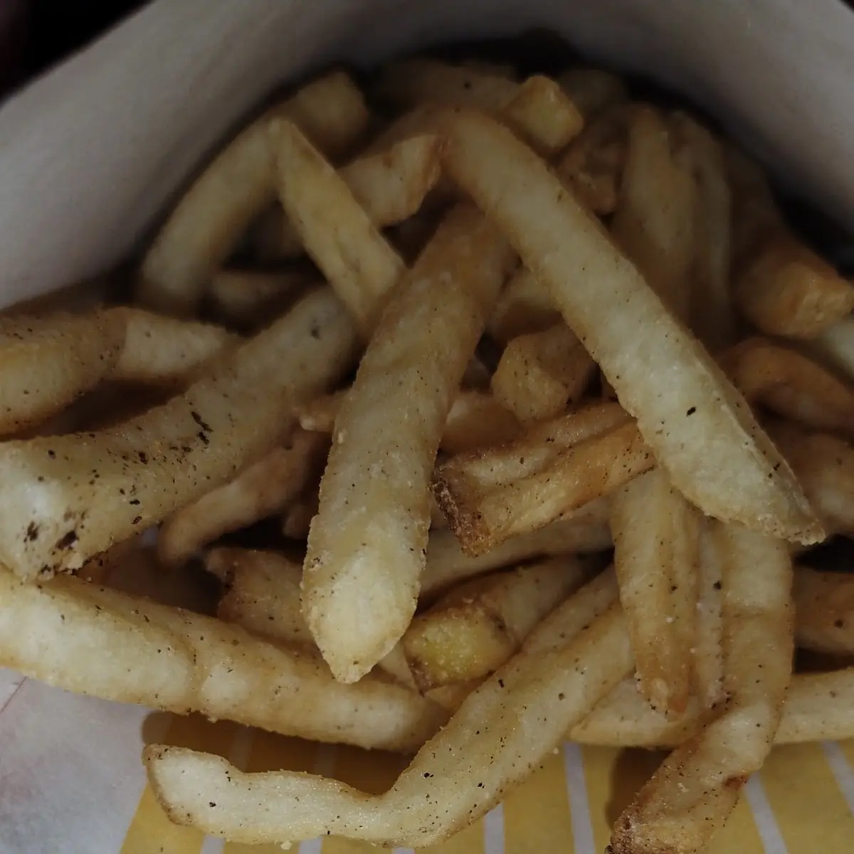 World Famous Fries