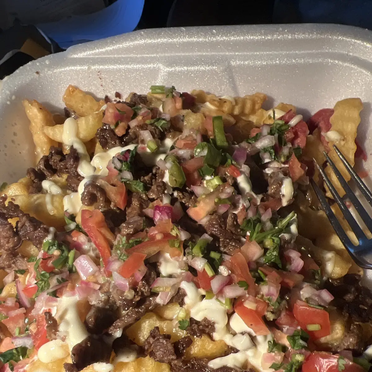 Carne Asada Fries