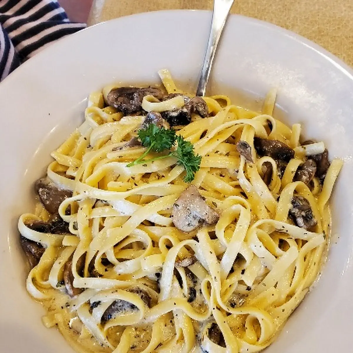 Alfredo Pasta