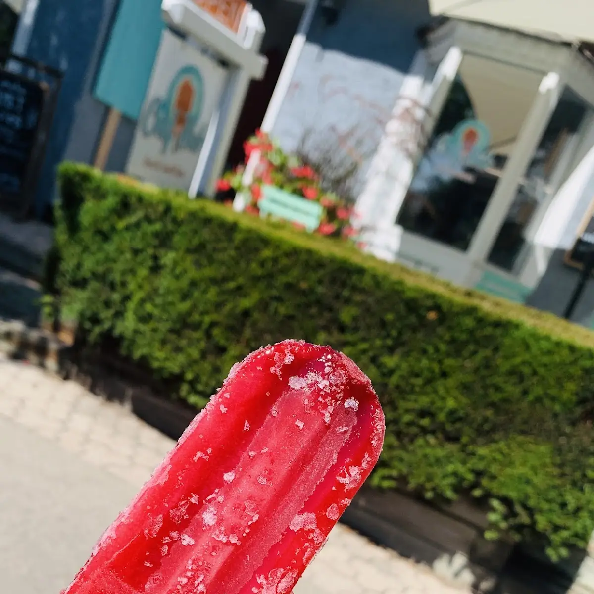 Highlights, Chef and Bub Gourmet Popsicles + Ice Cream
