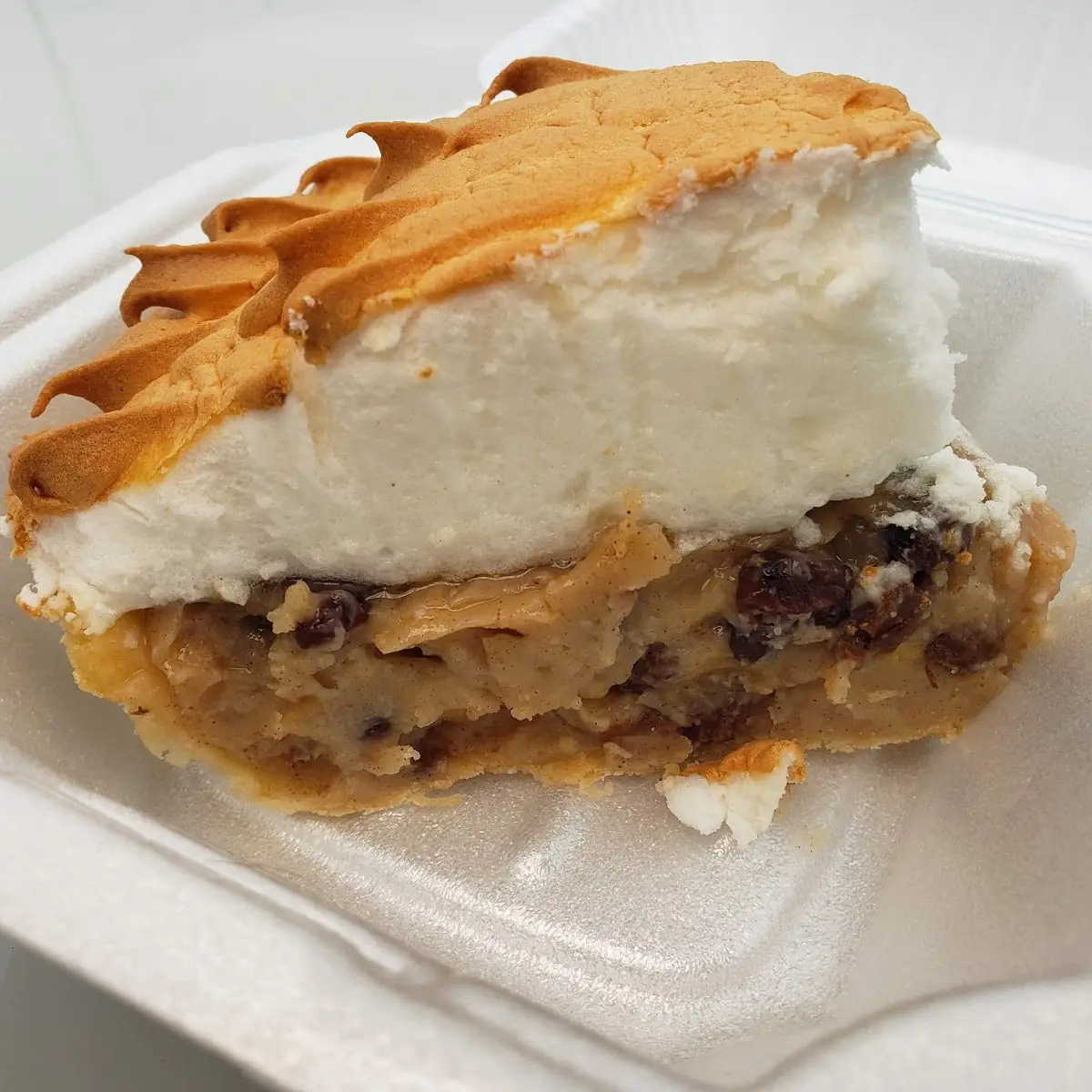 Sour Cream Raisin Pie