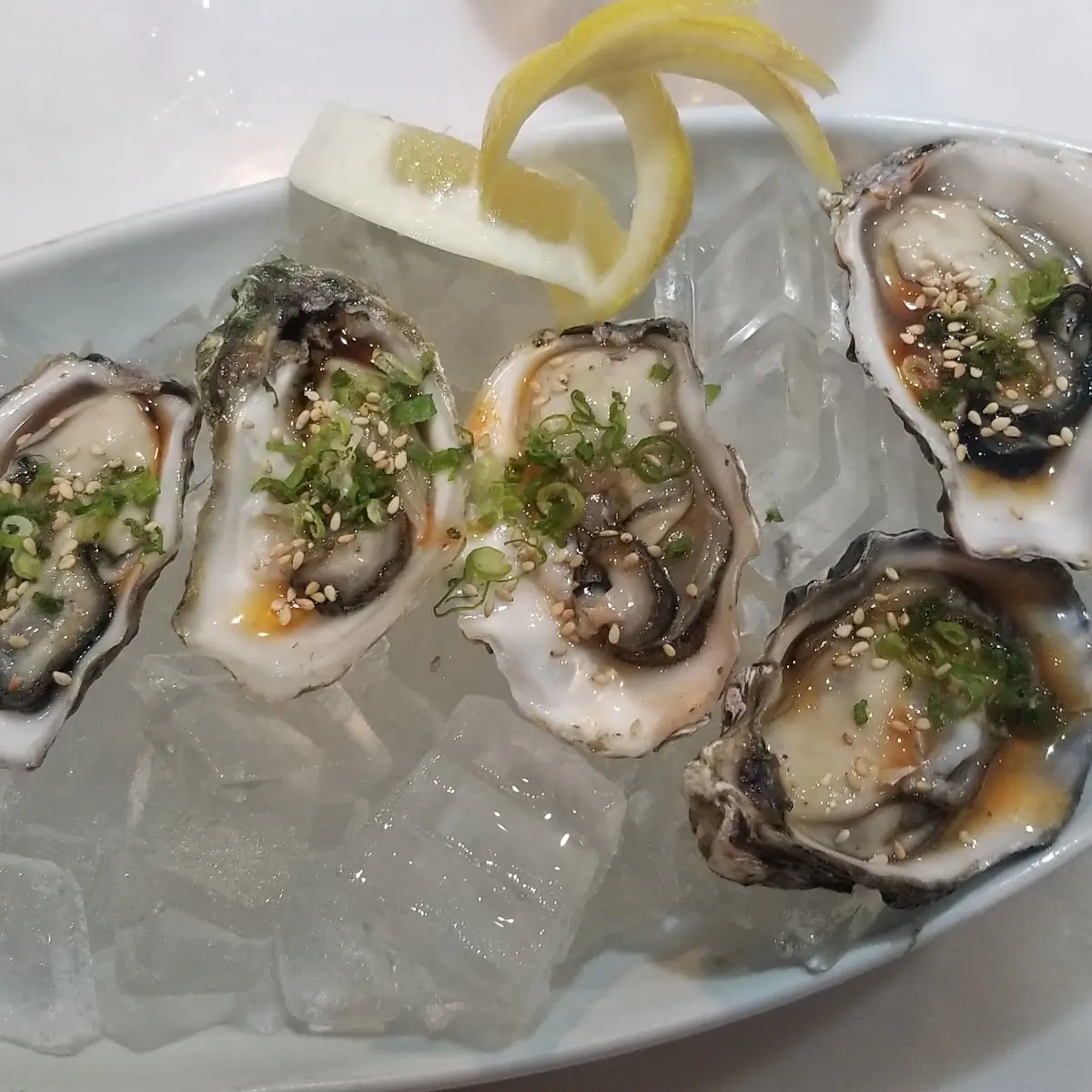 Fresh Oysters