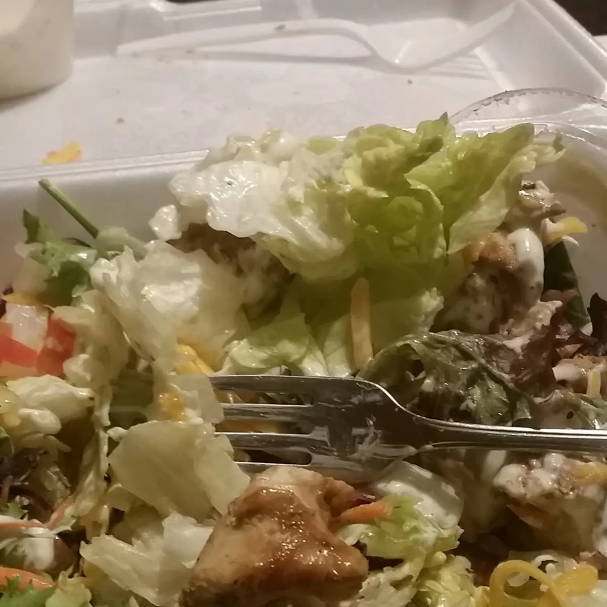 Grilled Chicken Salad