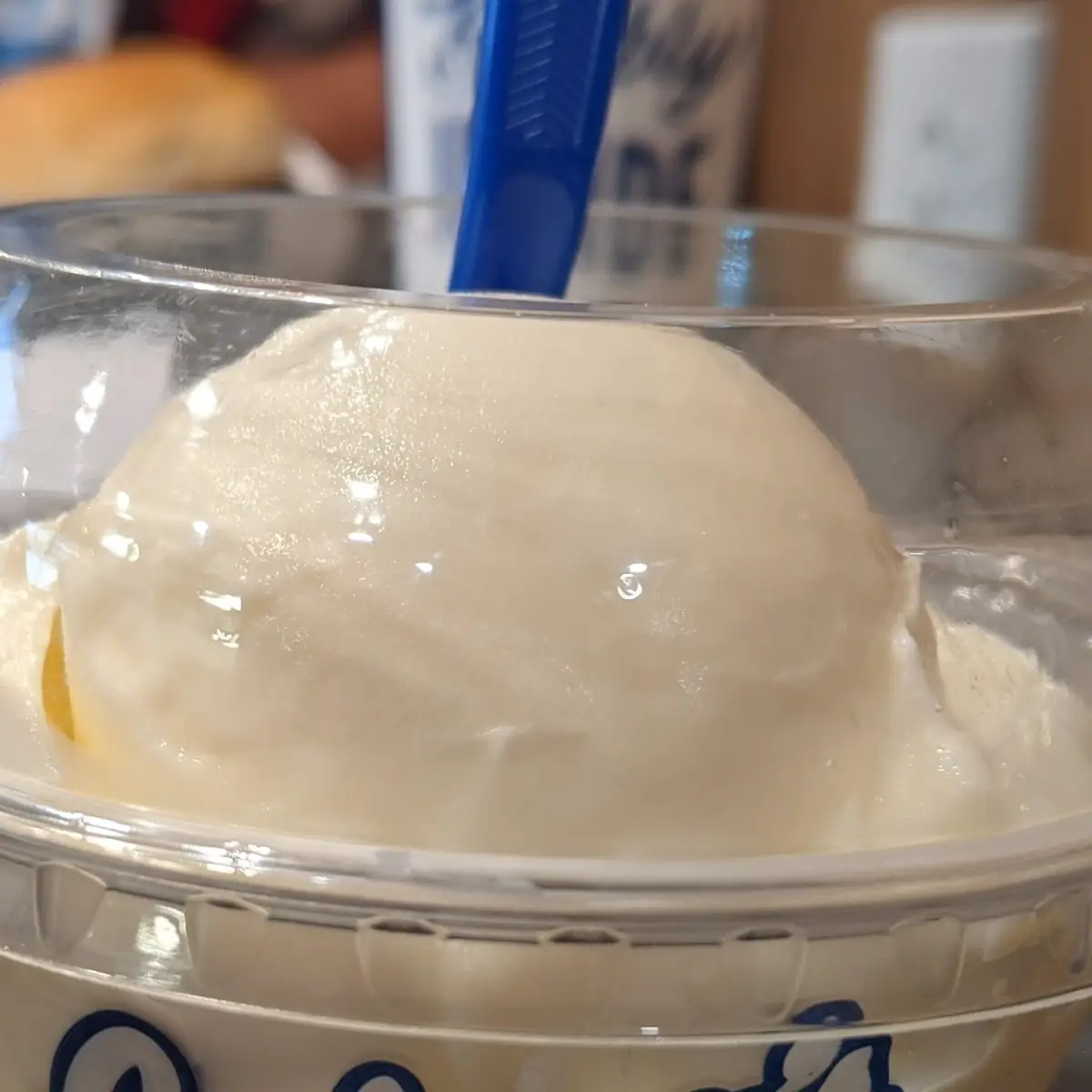 Plain Vanilla Frozen Custard