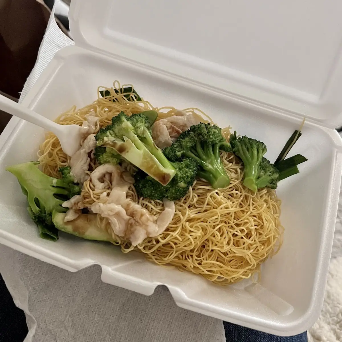 Cantonese Pan Fried Noodles