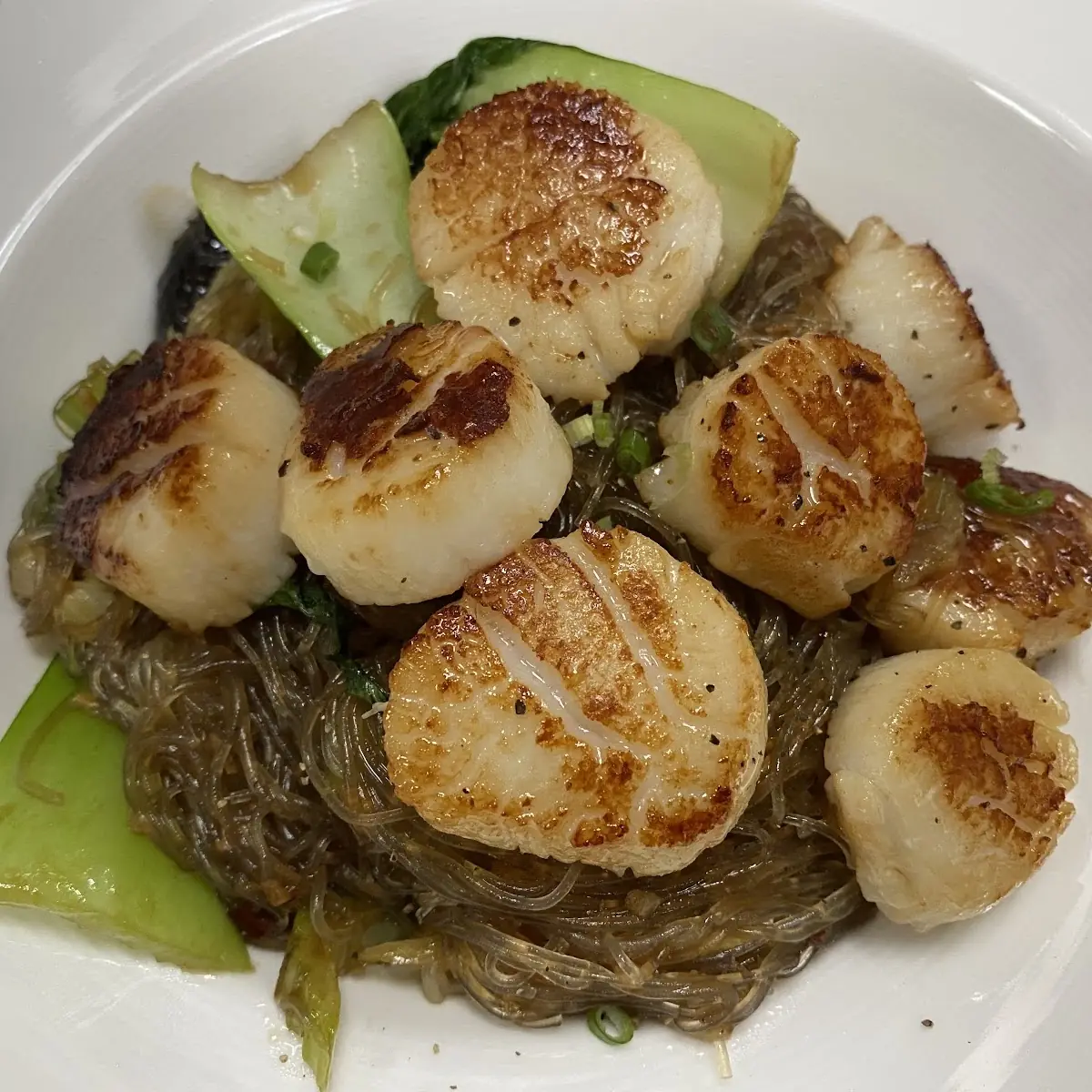 Sea Scallops