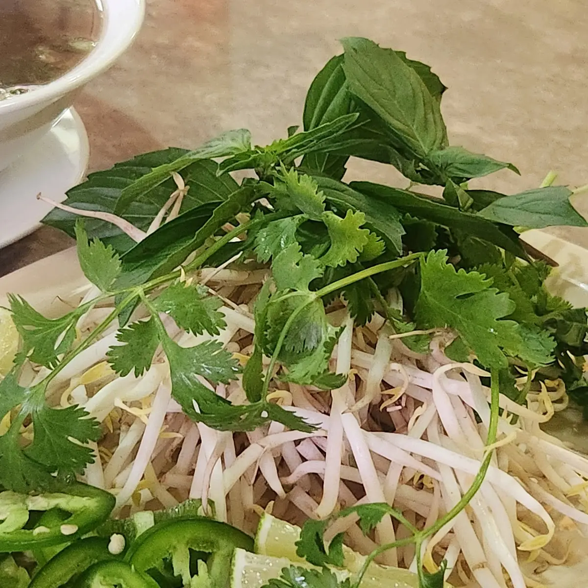 Pho GA