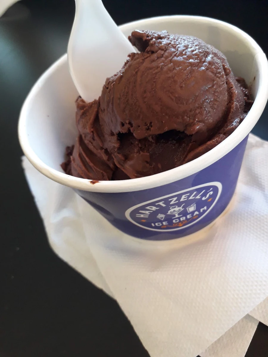 Chocolate Ice Cream