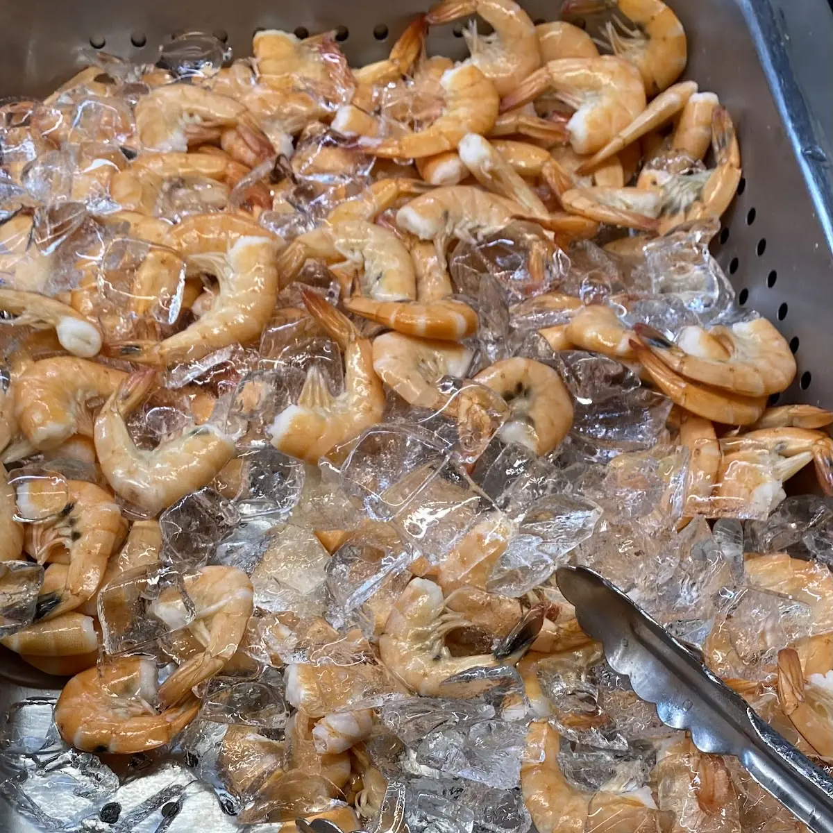 Fresh Peel and Eat Shrimp