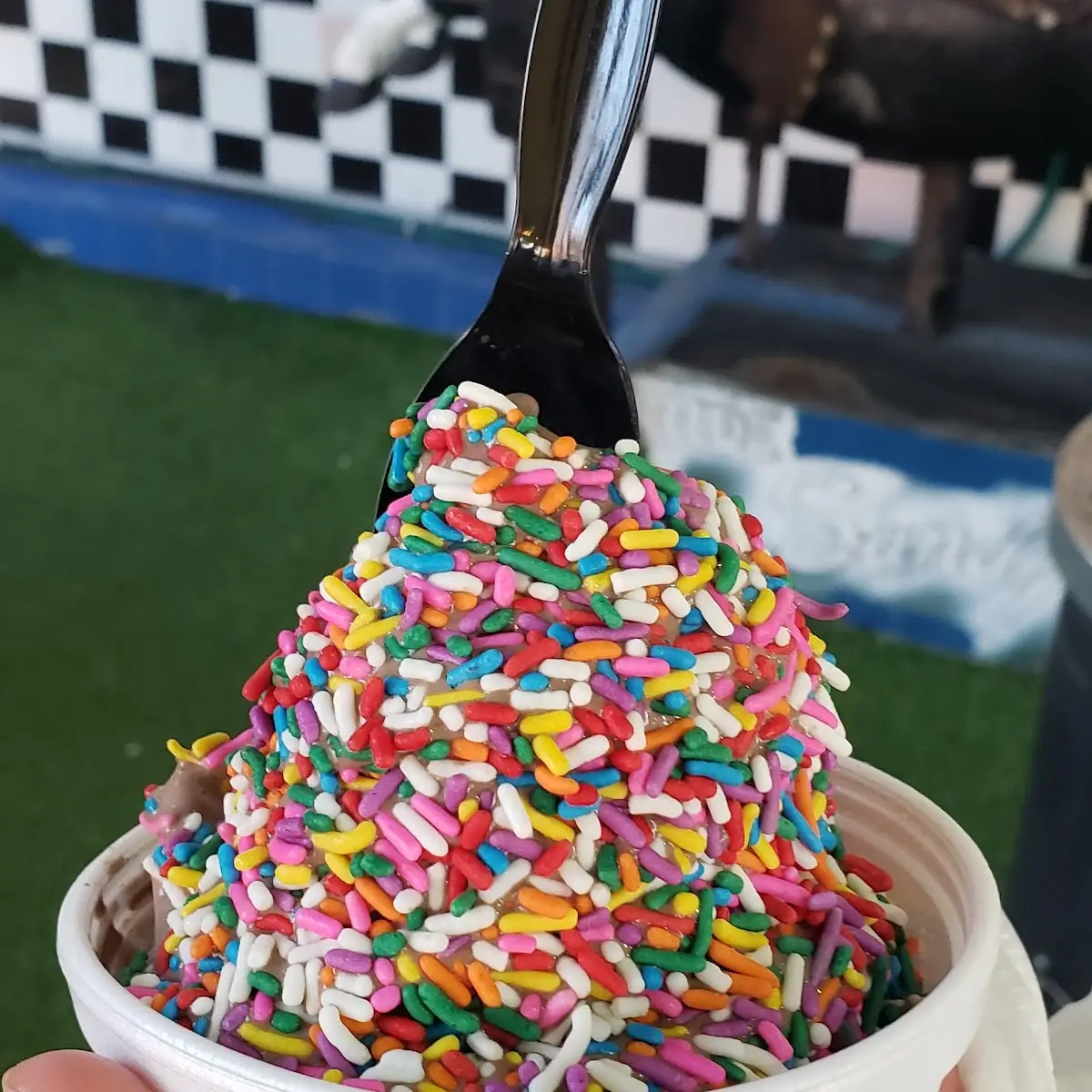 Chocolate Soft Serve with Rainbow Sprinkles