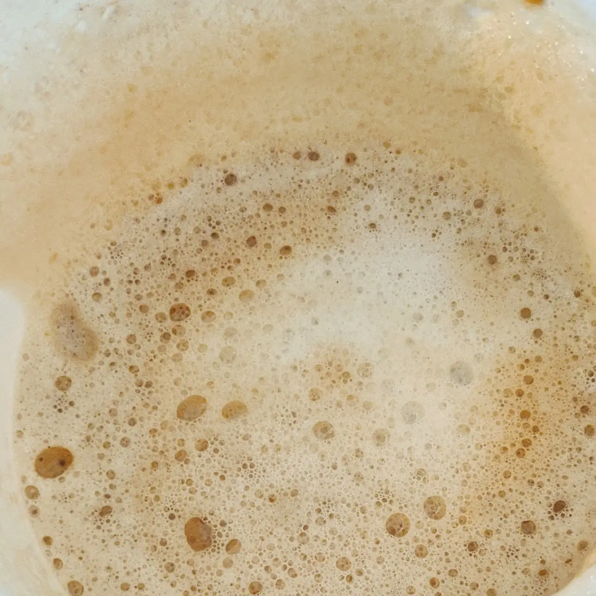 Hot White Chocolate Mocha