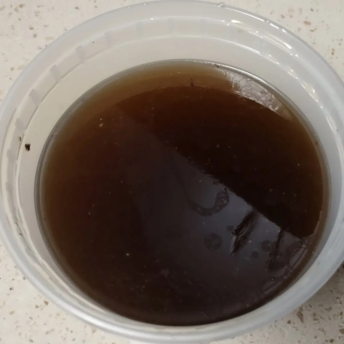 Pho Broth