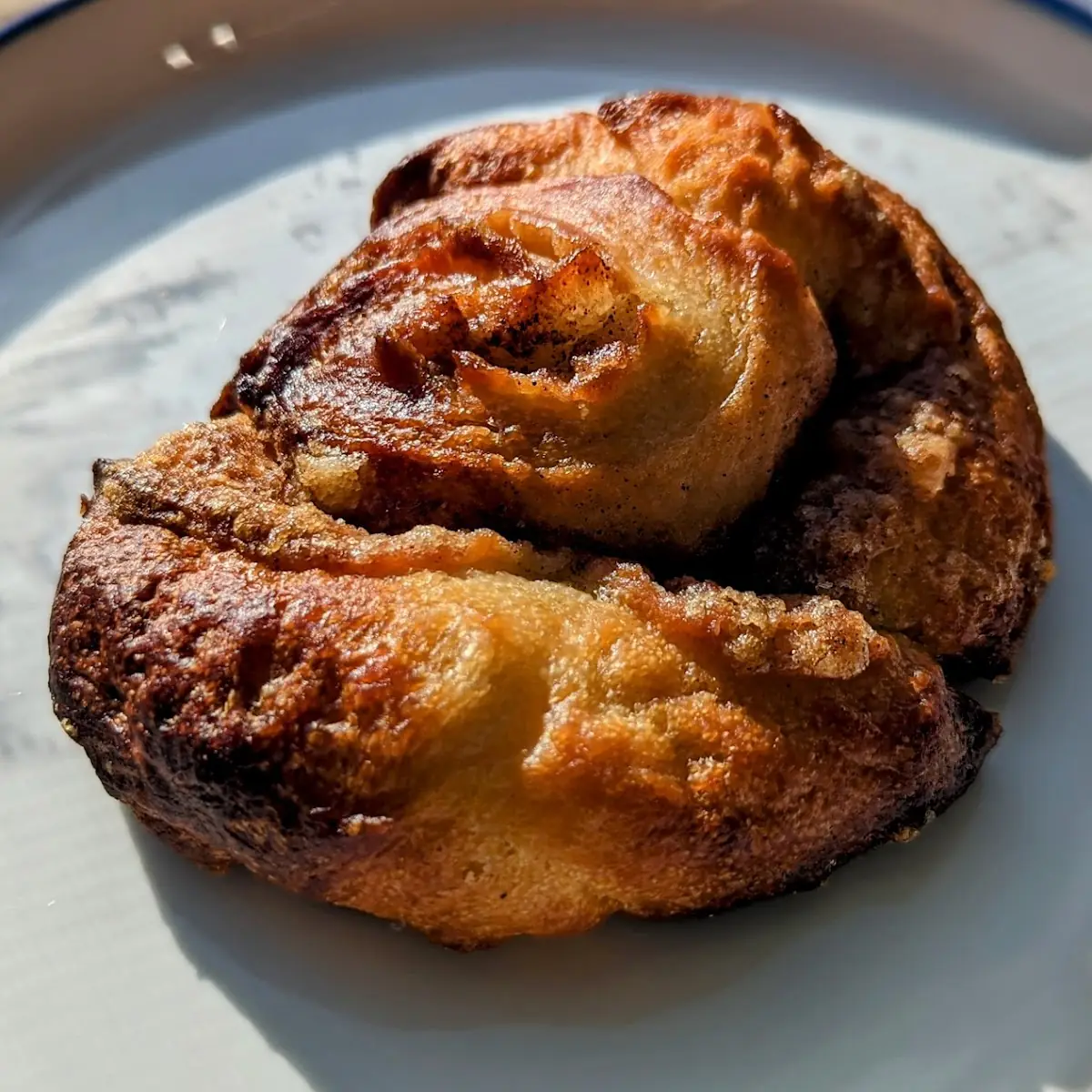 Cinnamon Roll