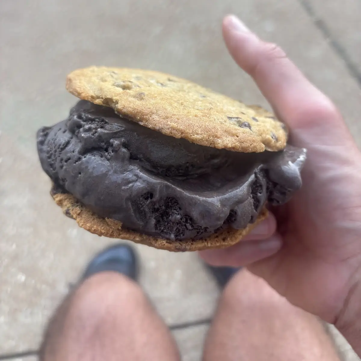 Peanut Butter Cookie with Zanzibar Chocolate