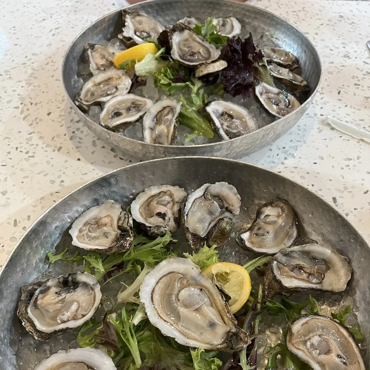 Oysters on the Half Shell