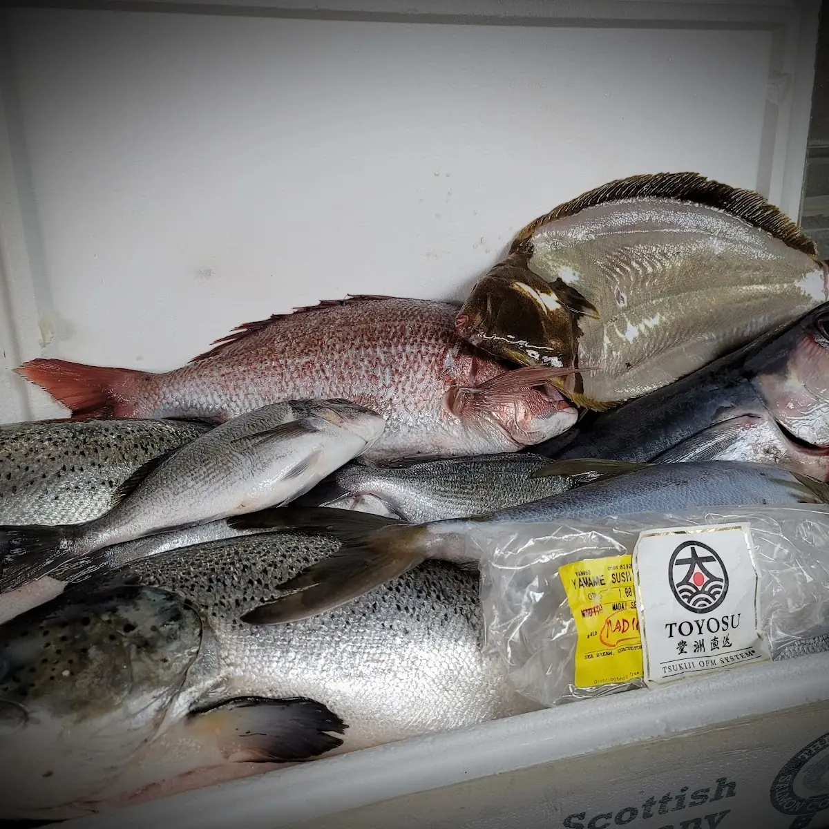 Local Fish Market