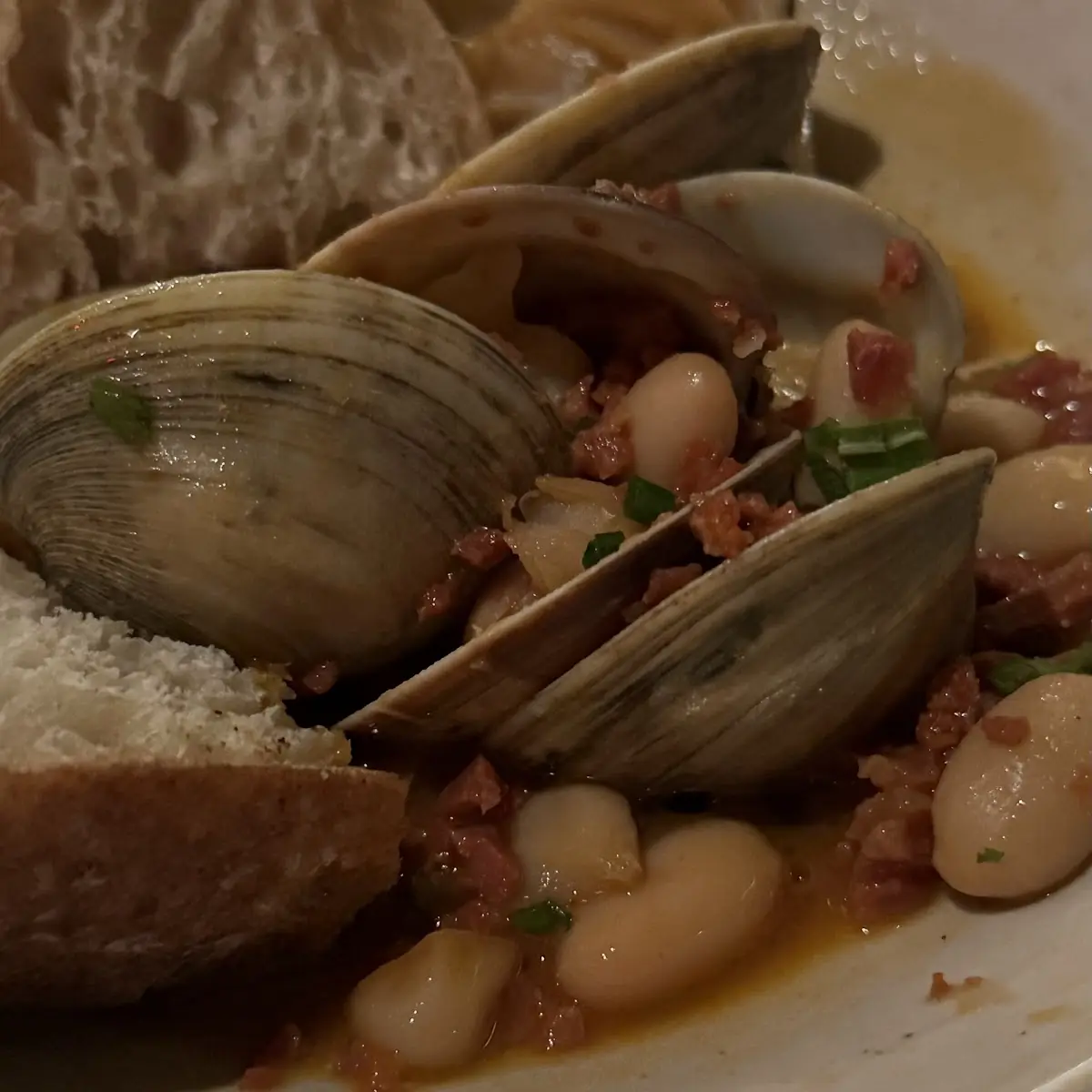 Steamed Clams