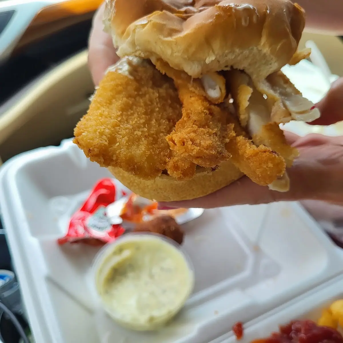 Catfish Sandwich Only