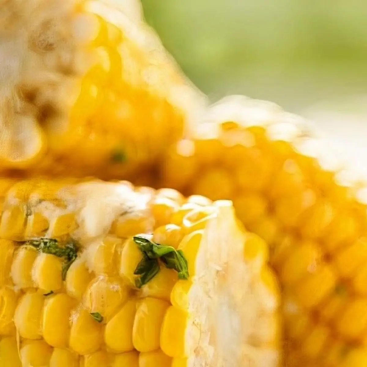 Boiled Corn
