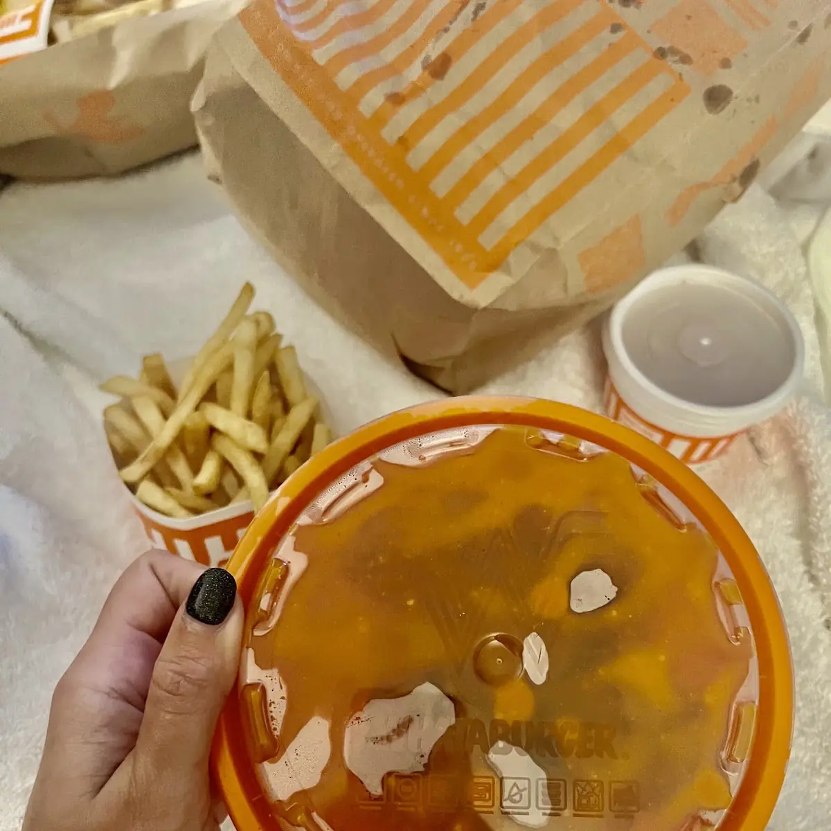 Wings and Fries