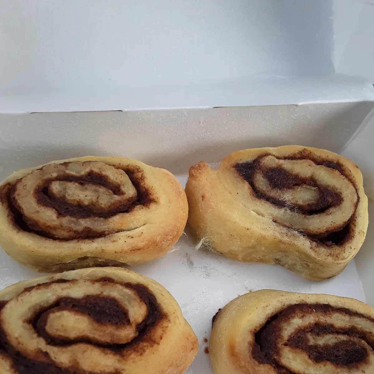 Cinnamon Roll