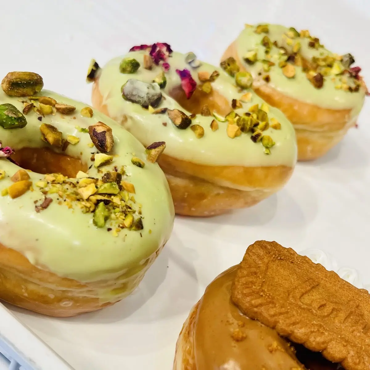 Sourdough Donuts