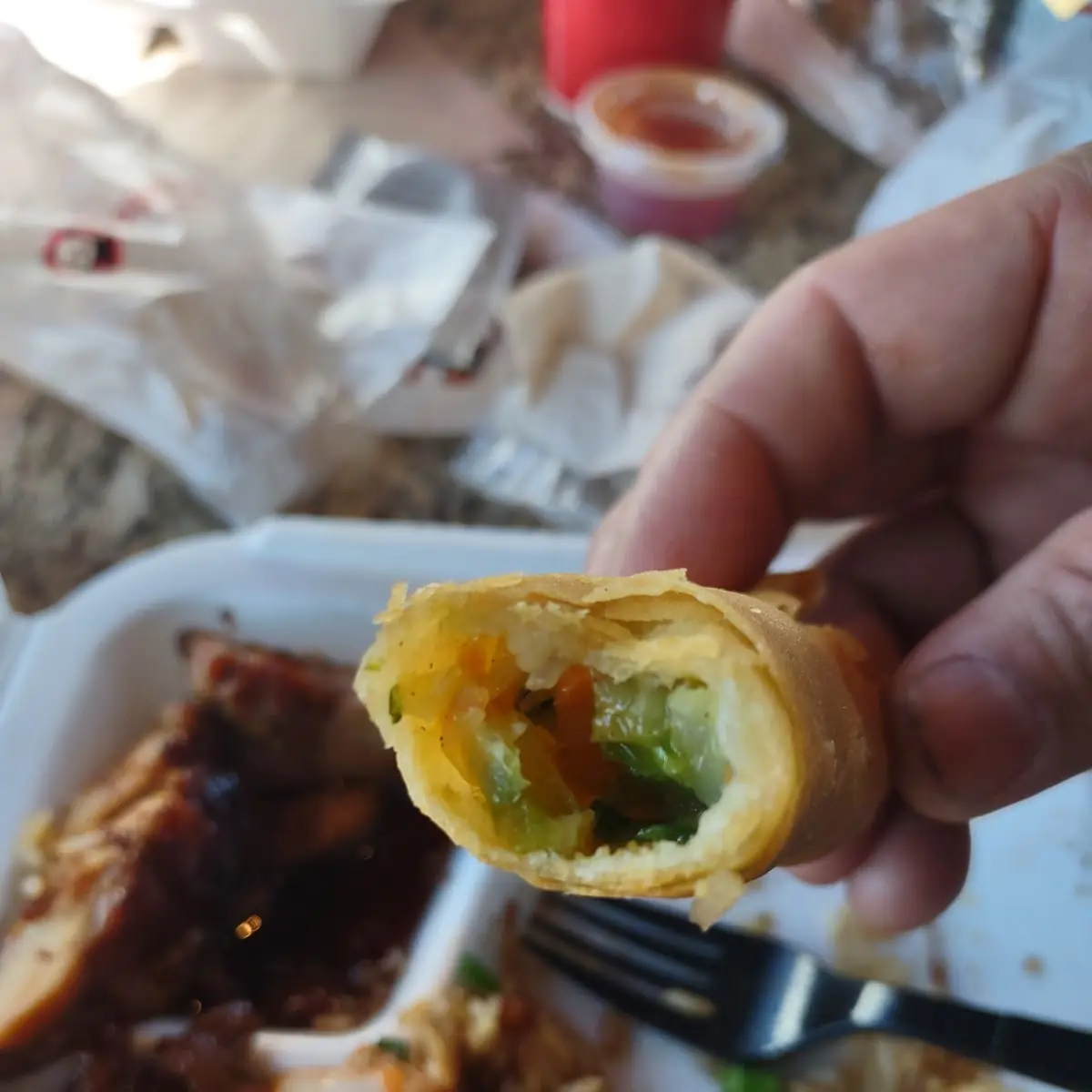 Vegetable Spring Roll