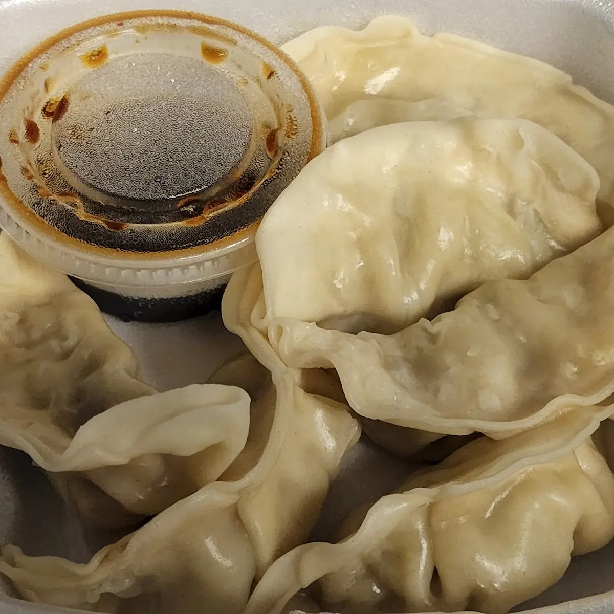 Pan Fried or Steamed Dumplings 6