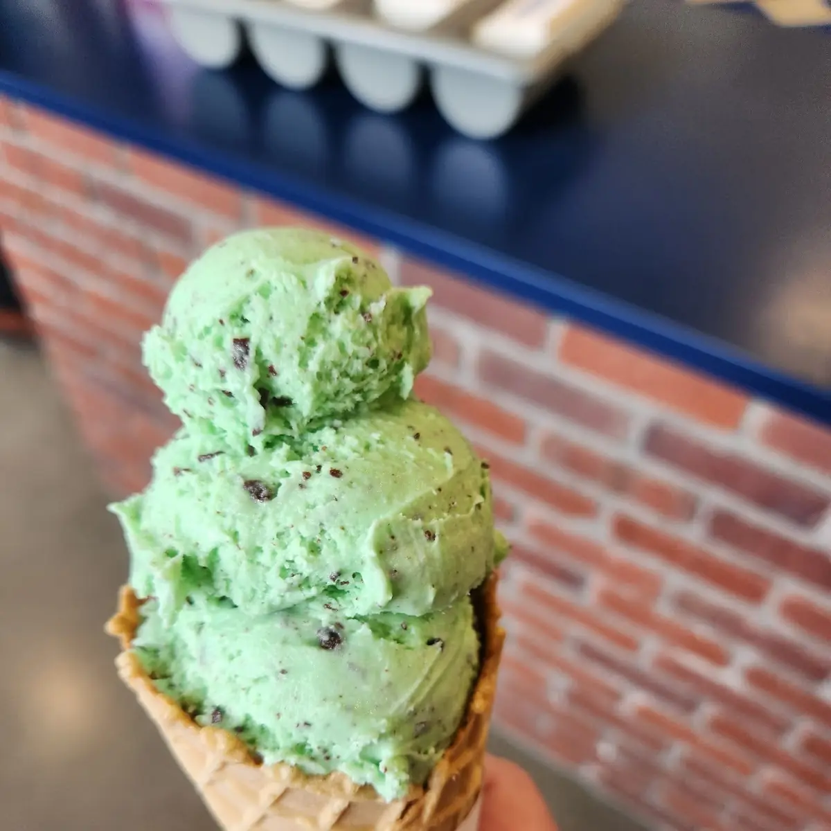 Mint Chocolate Chip Ice Cream