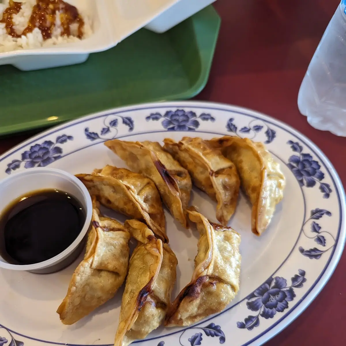Egg Roll & 6 Gyoza