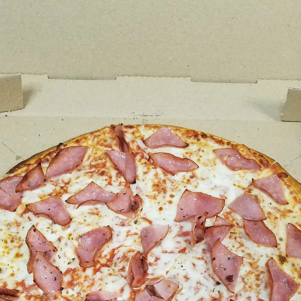 Ham and Cheese Pizza