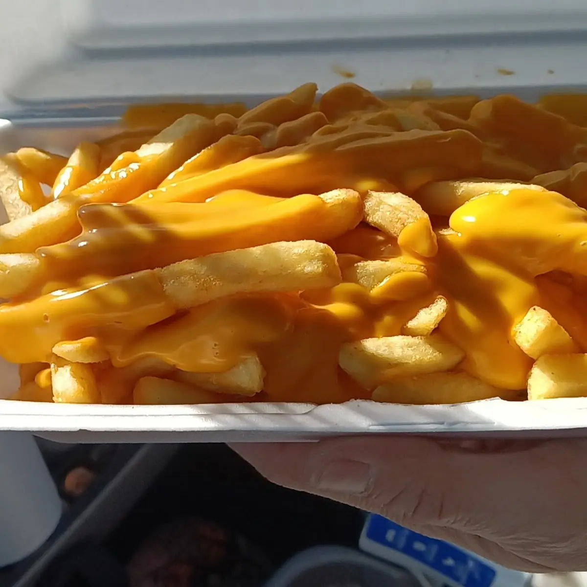 Cheese Fries