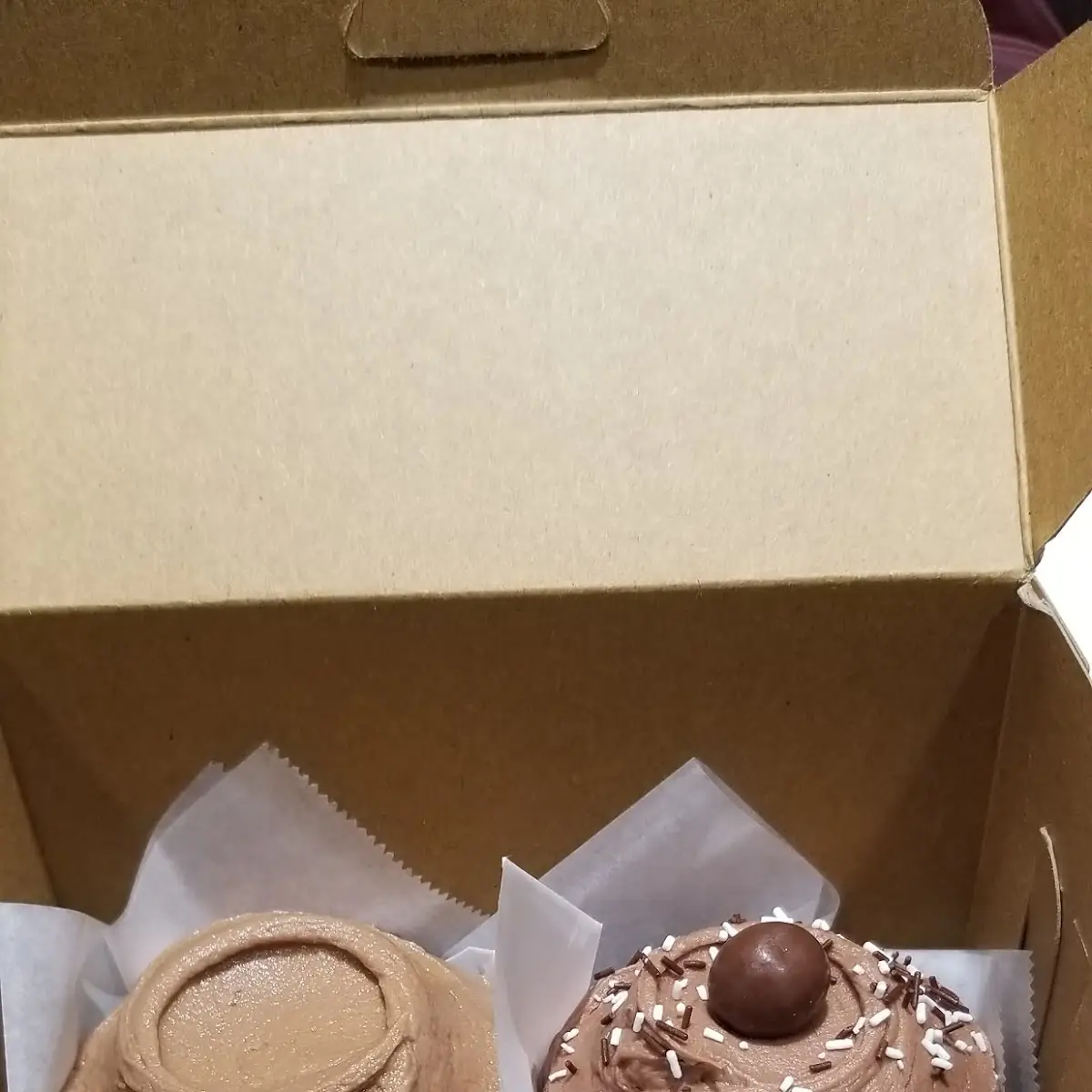 Nutella Cupcake & Chocolate Malt Cupcake