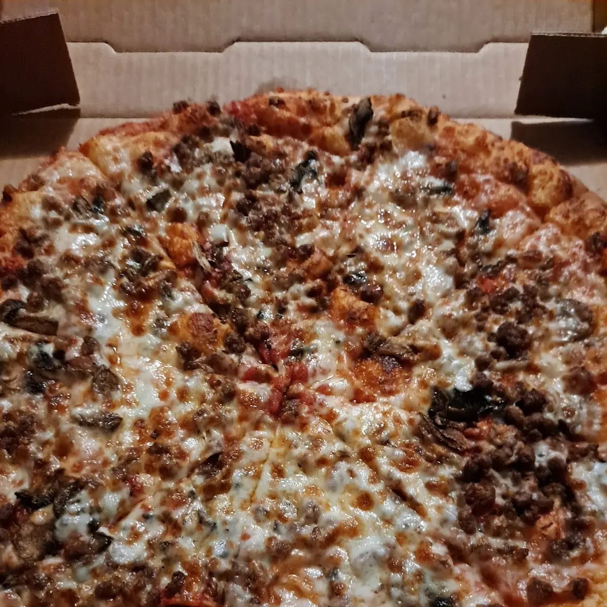 Beef and Mushroom Pizza