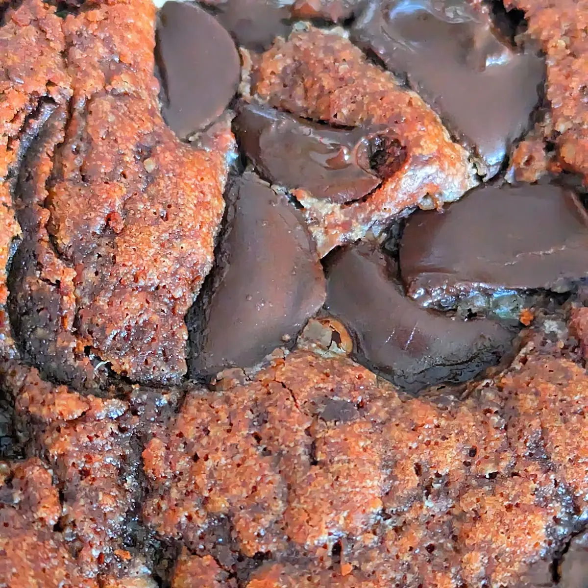 Chocolate Brownie Chunk