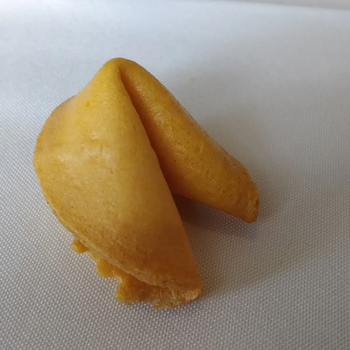 Fortune Cookie