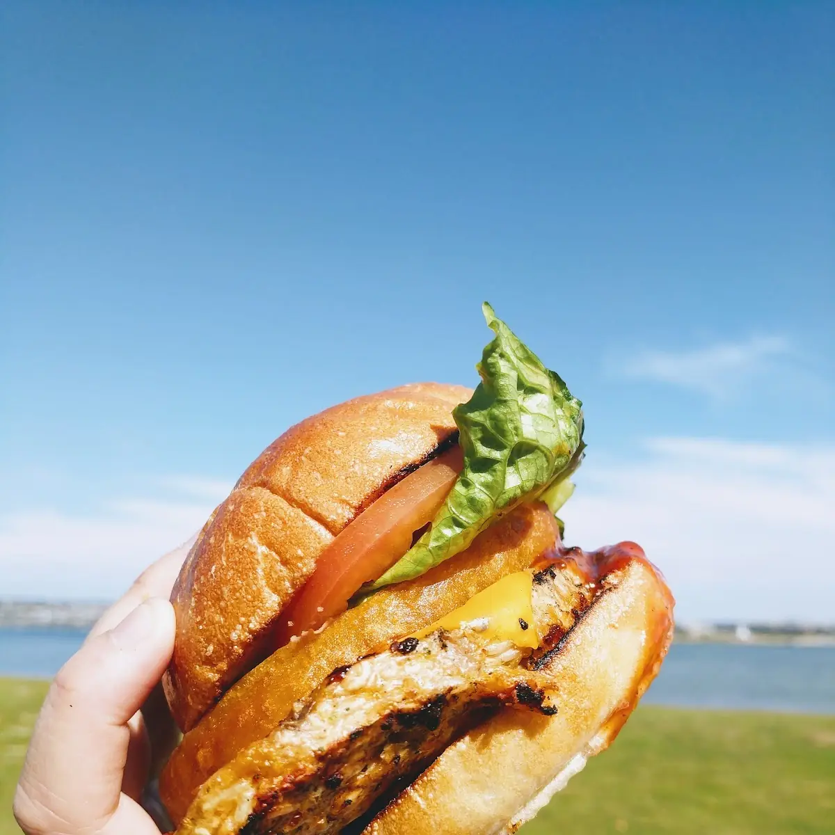 Veggie Burger
