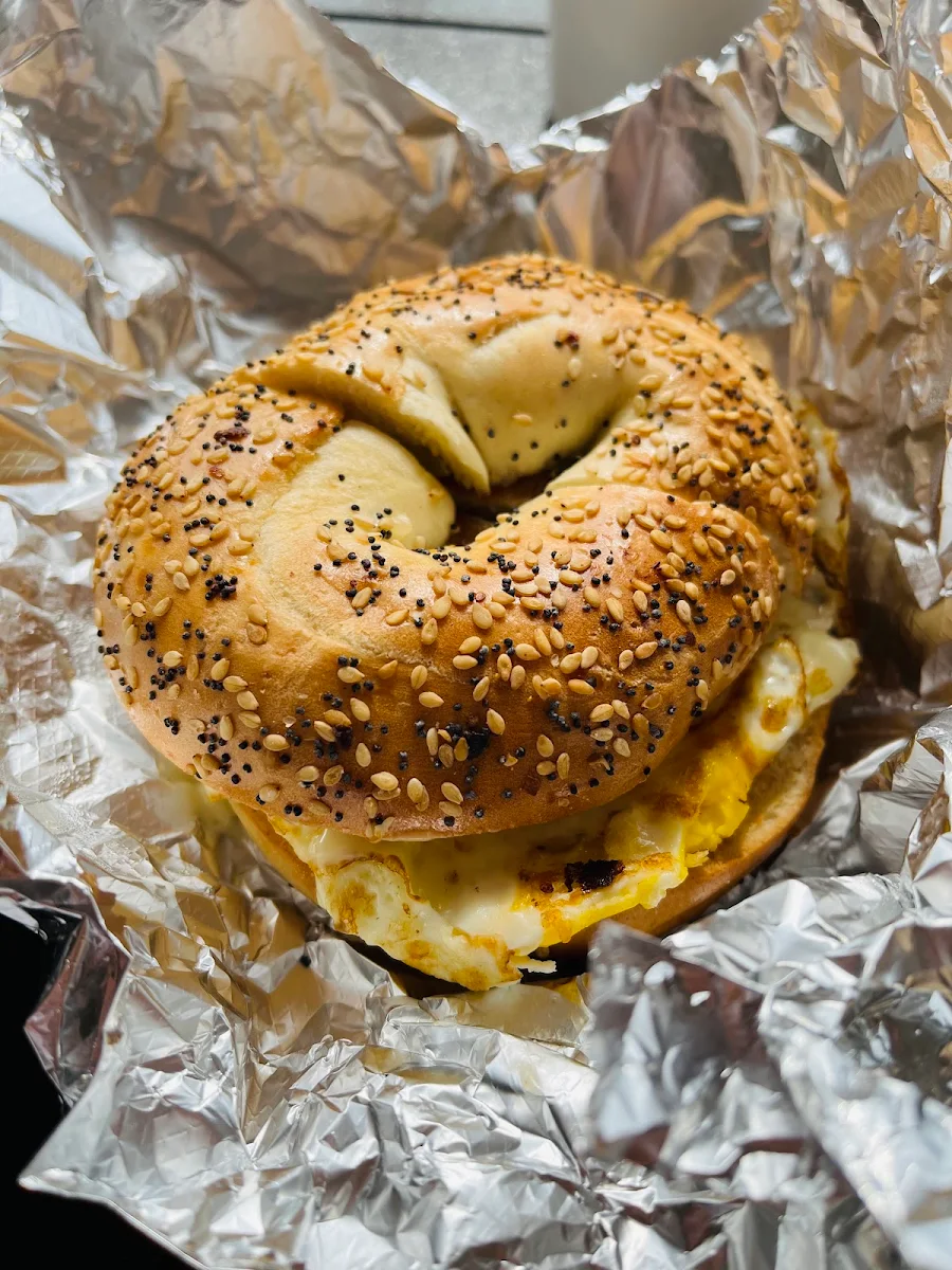 Toasted Everything Bagel