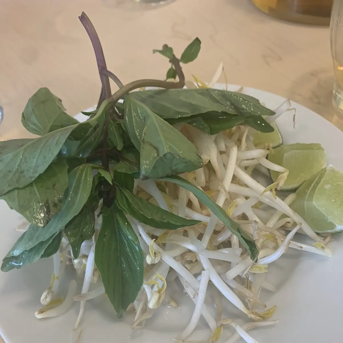 Basil and Spouts for Pho