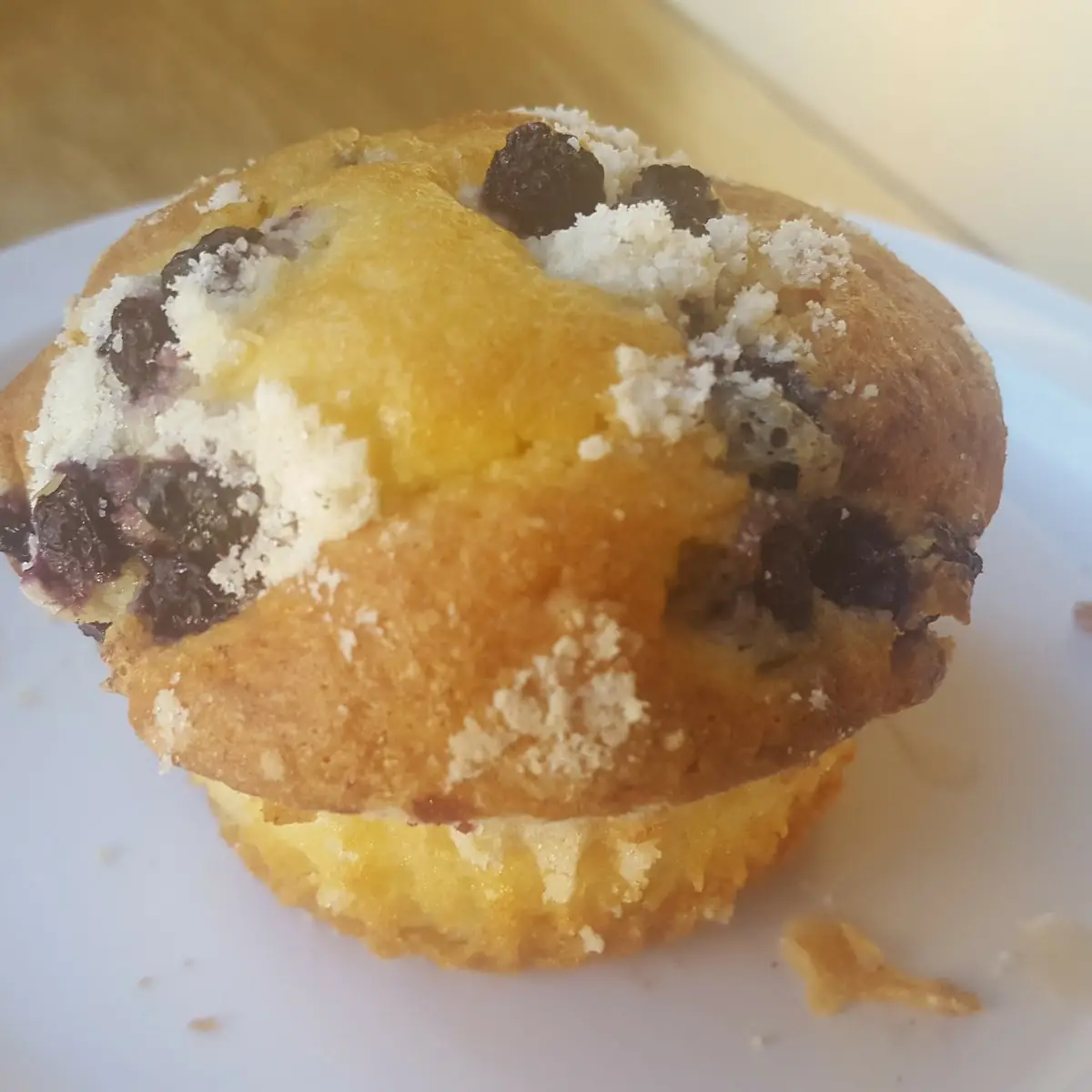 Blueberry Muffin
