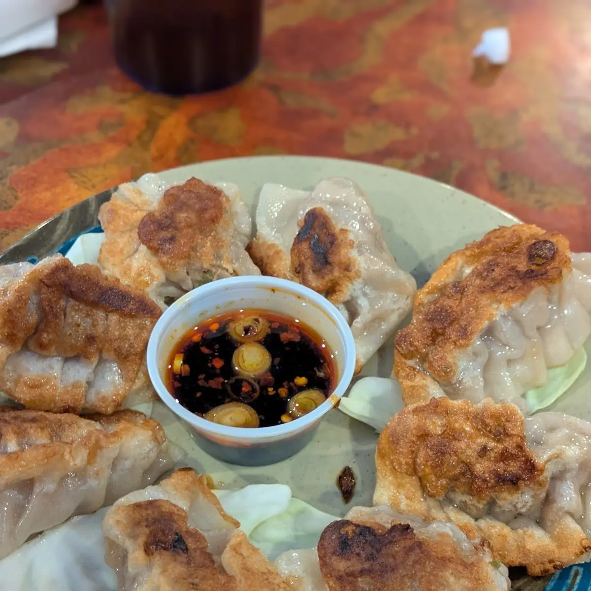 Steamed or Fried Dumplings 8